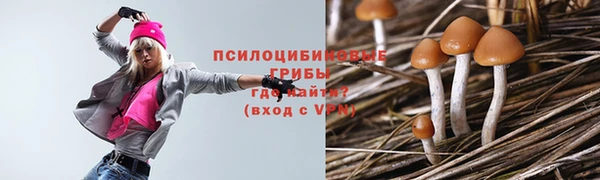 альфа пвп Баксан