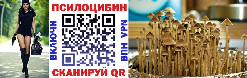 Галлюциногенные грибы Psilocybine cubensis  купить наркотик  Ладушкин 